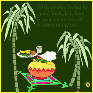 Happy Pongal gif images