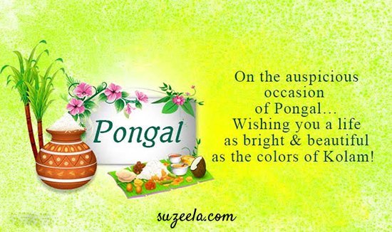 happy pongal  greetings wishes in tamil